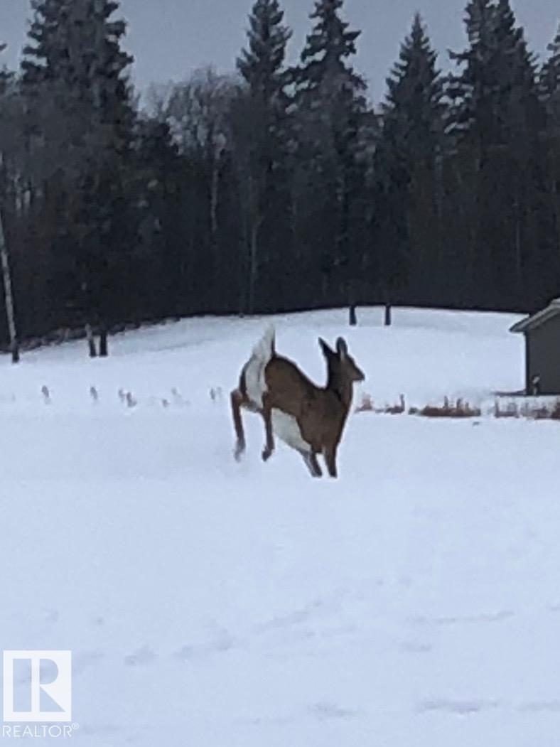 #334 51101 RGE ROAD 222, Rural Strathcona County