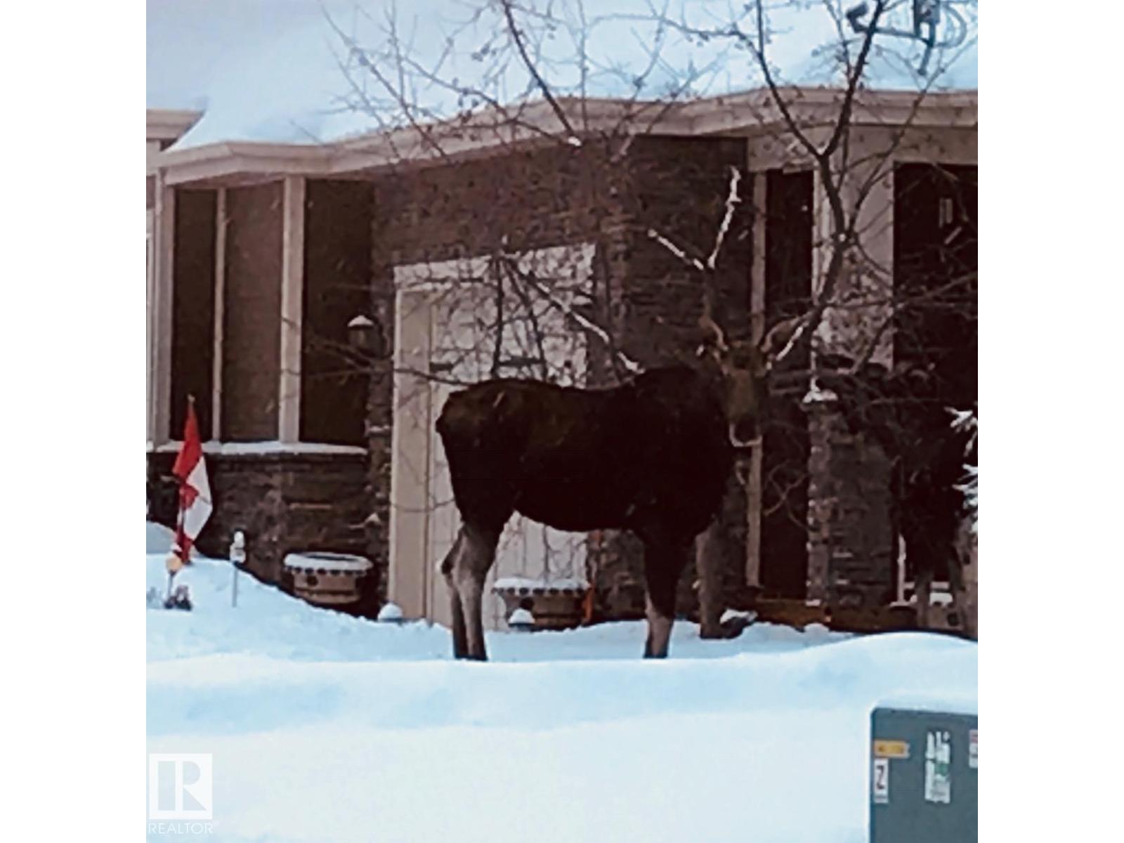 #334 51101 RGE ROAD 222, Rural Strathcona County