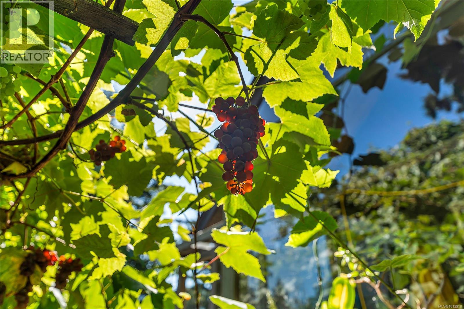  107 Pine Place, Salt Spring