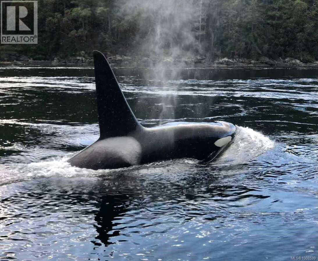 557 Weathers Way, Mudge Island