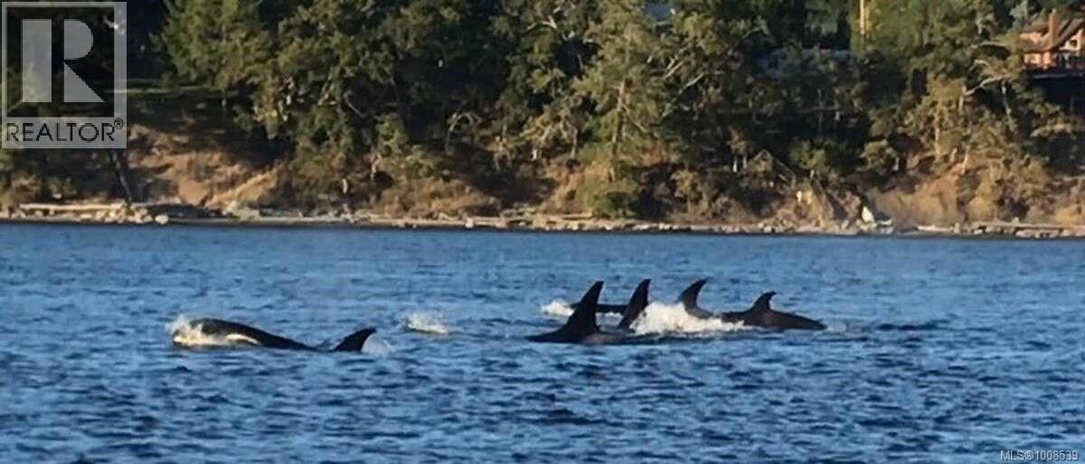 557 Weathers Way, Mudge Island