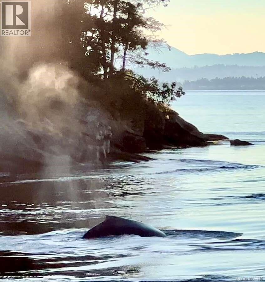 557 Weathers Way, Mudge Island