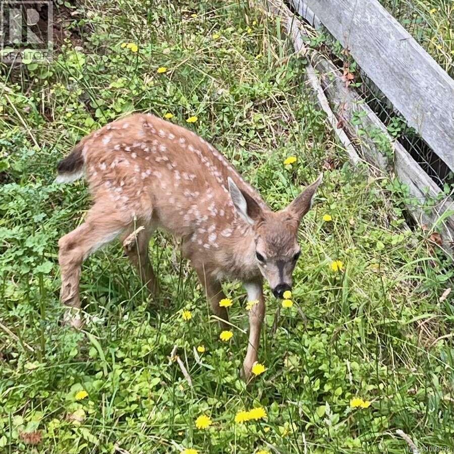 557 Weathers Way, Mudge Island