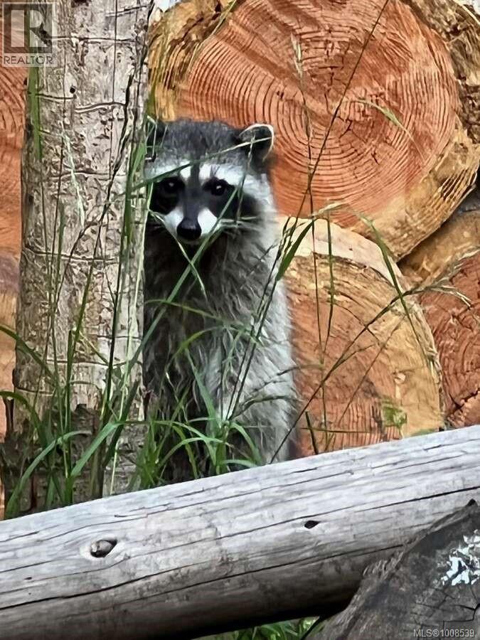 557 Weathers Way, Mudge Island