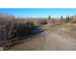 #41 23319 Twp Road 572, Rural Sturgeon County, AB T0A1N5 Photo 10