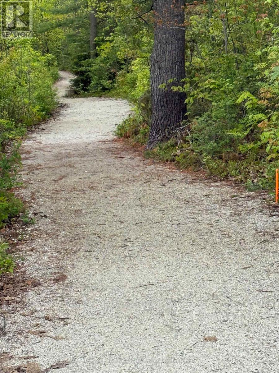 243 RIVER ROAD E - 48