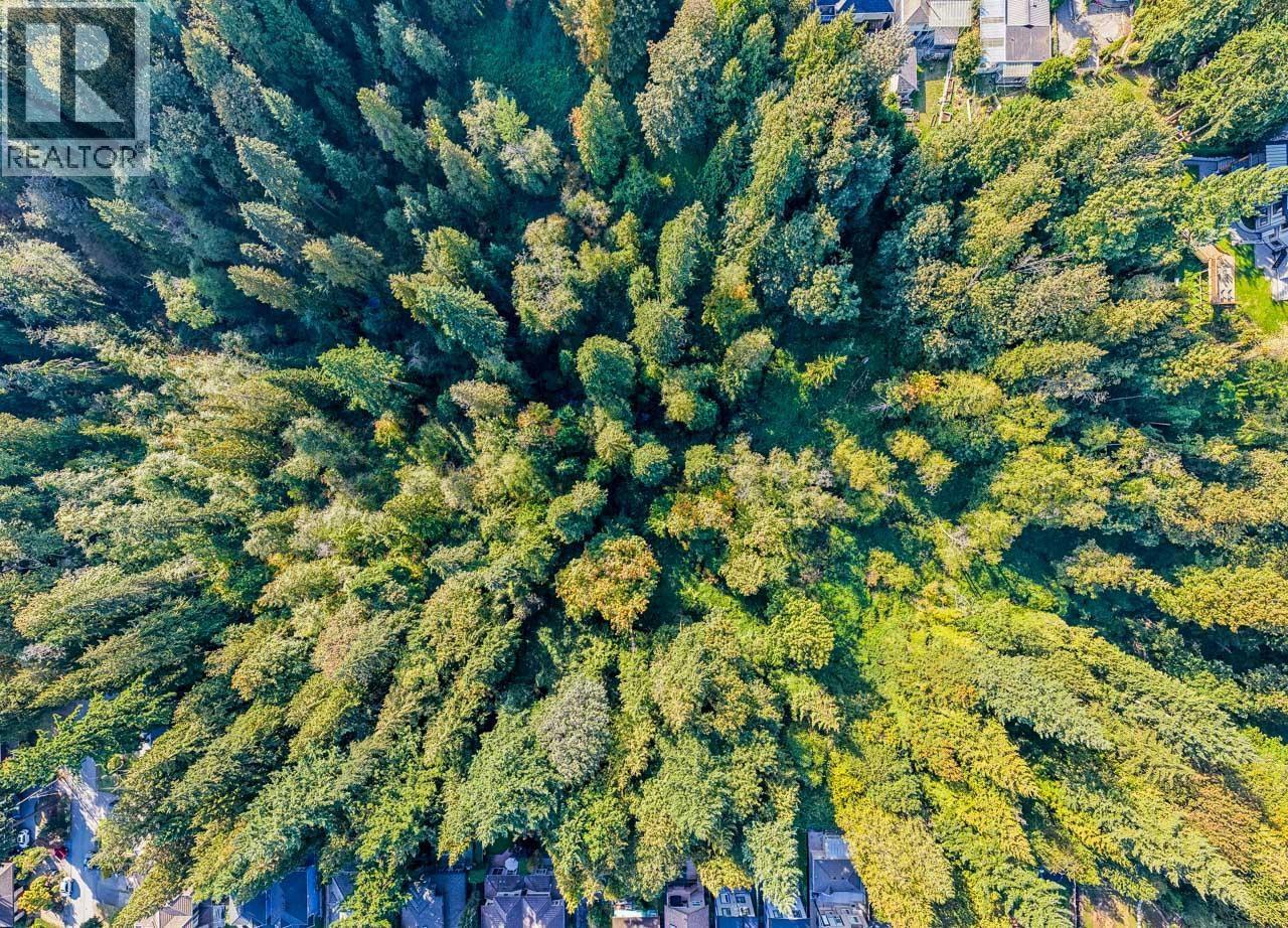 8061 MCGREGOR AVENUE, Burnaby