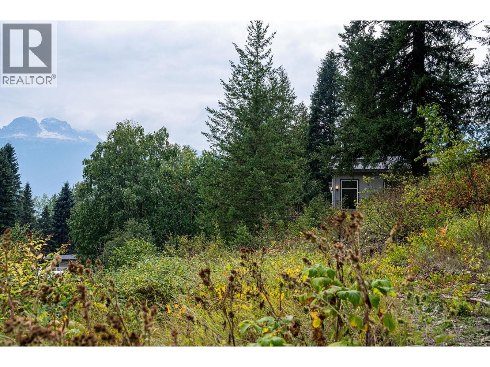 2626 Airport Way, Revelstoke