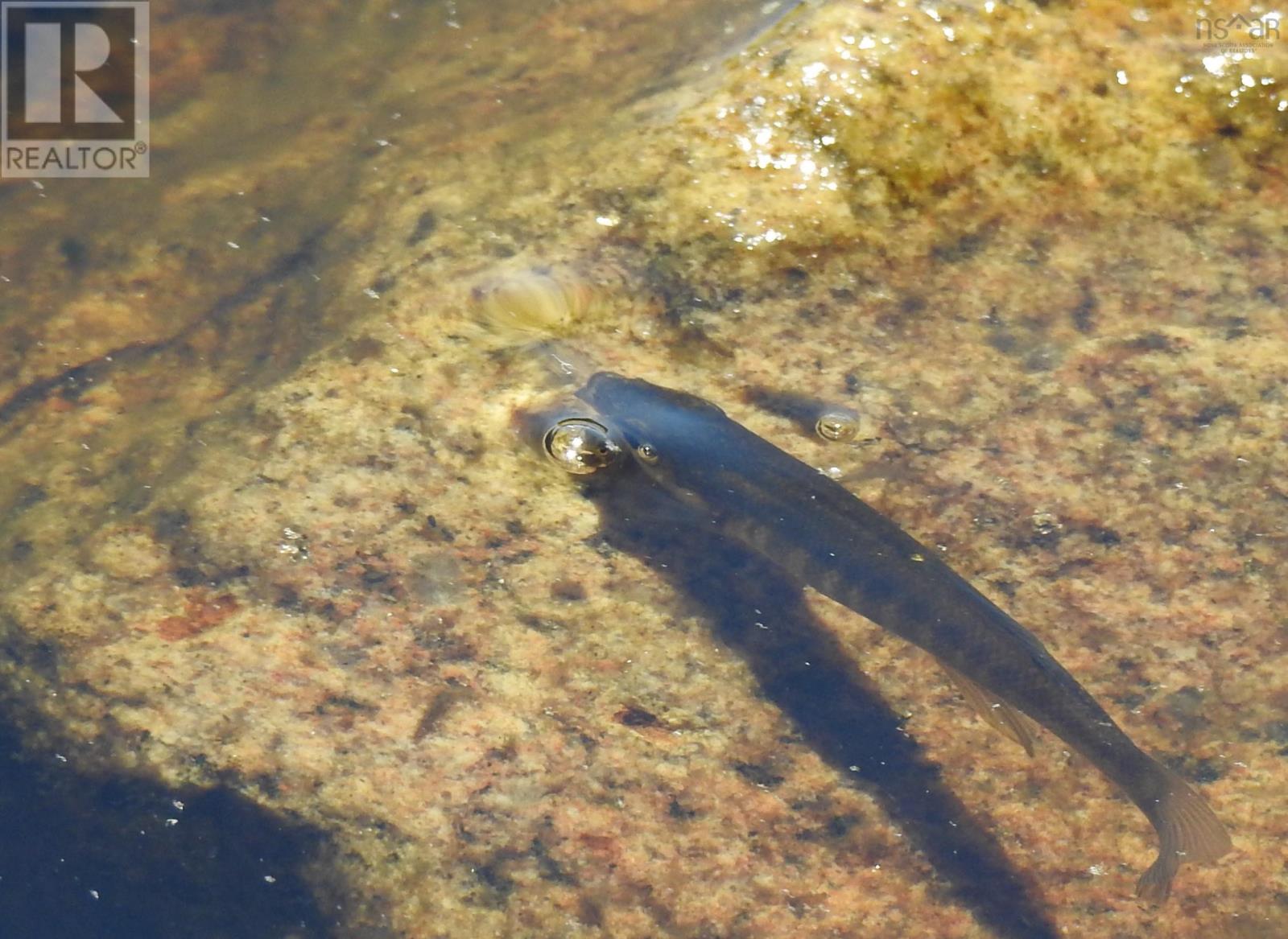 Property 35 of 43 of 287 Long Lake Road