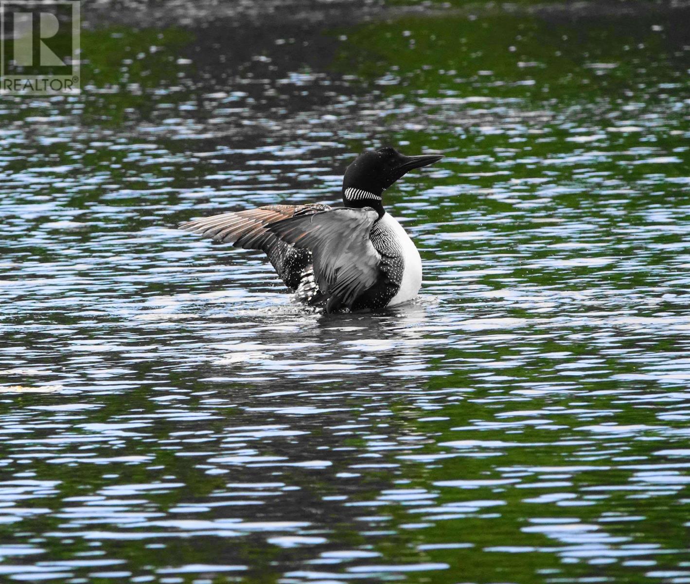 Property 41 of 43 of 287 Long Lake Road