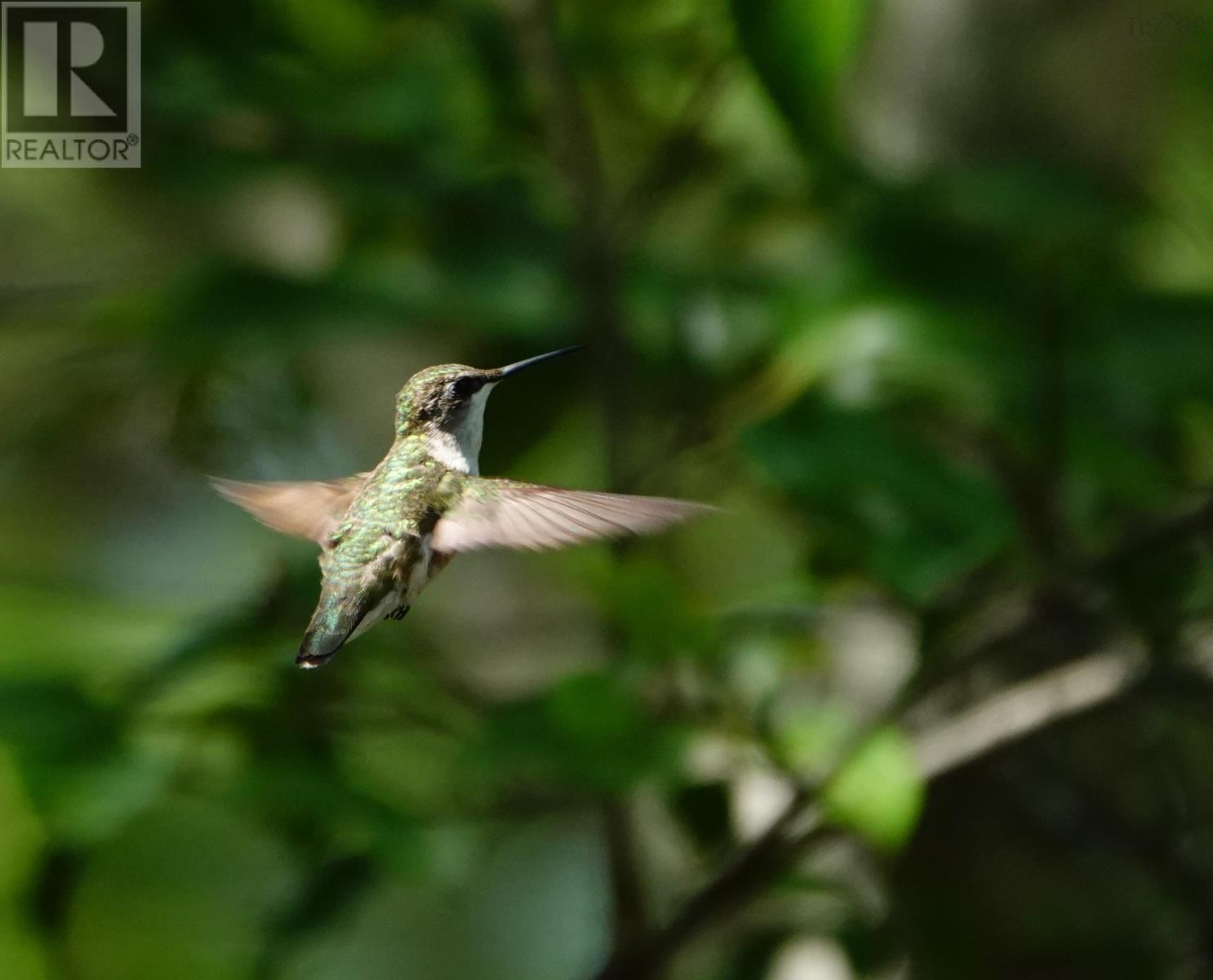 Property 37 of 43 of 287 Long Lake Road