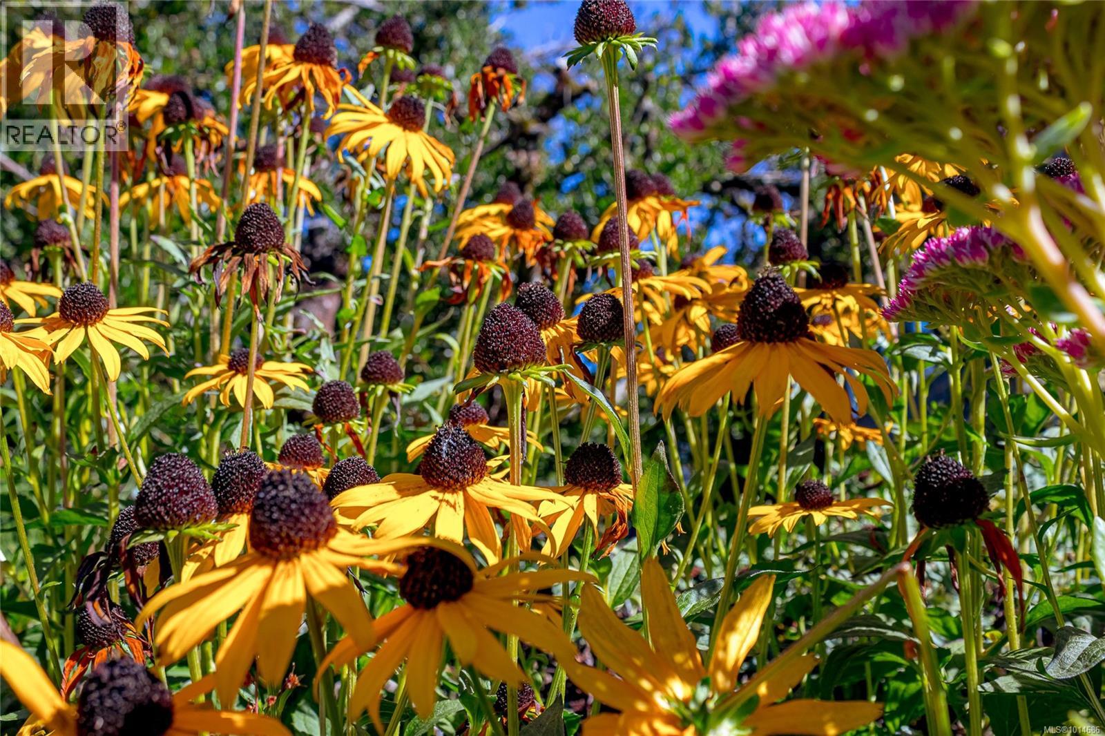 645 Baker St, Saanich