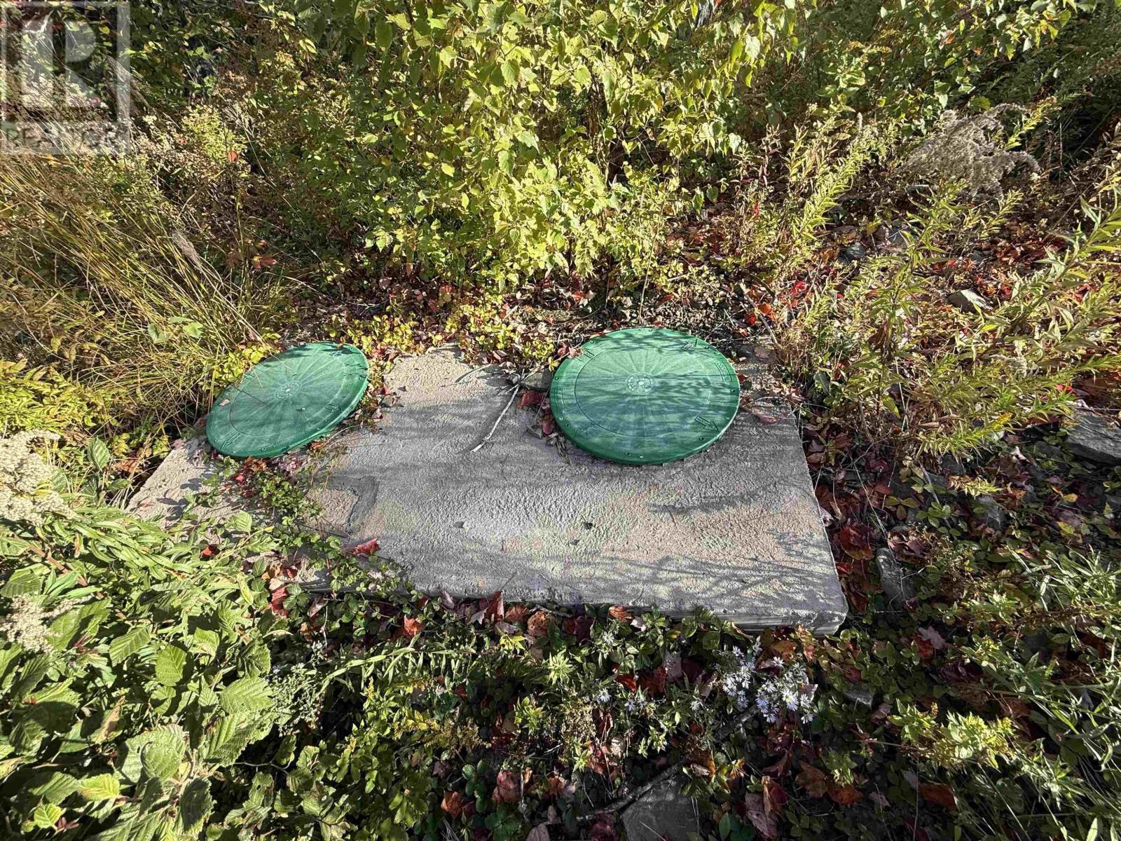 Property 48 of 49 of 1600 Lingan Road