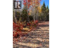 Lot Bells Mills Road, Richibucto Village, NB E4W1B8 Photo 11