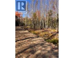 Lot Bells Mills Road, Richibucto Village, NB E4W1B8 Photo 12