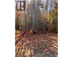 Lot Bells Mills Road, Richibucto Village, NB E4W1B8 Photo 15