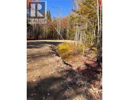 Lot Bells Mills Road, Richibucto Village, NB E4W1B8 Photo 16