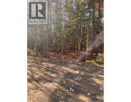 Lot Bells Mills Road, Richibucto Village, NB E4W1B8 Photo 18