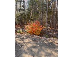 Lot Bells Mills Road, Richibucto Village, NB E4W1B8 Photo 19