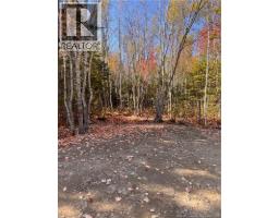 Lot Bells Mills Road, Richibucto Village, NB E4W1B8 Photo 21