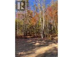 Lot Bells Mills Road, Richibucto Village, NB E4W1B8 Photo 22