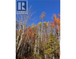 Lot Bells Mills Road, Richibucto Village, NB E4W1B8 Photo 23