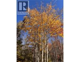 Lot Bells Mills Road, Richibucto Village, NB E4W1B8 Photo 24