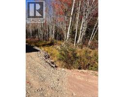 Lot Bells Mills Road, Richibucto Village, NB E4W1B8 Photo 8