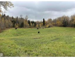 Nw 18-49-5 W5m, Rural Brazeau County, AB T0C1W0 Photo 21