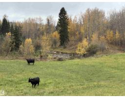 Nw 18-49-5 W5m, Rural Brazeau County, AB T0C1W0 Photo 7