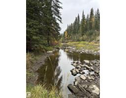 Nw 18-49-5 W5m, Rural Brazeau County, AB T0C1W0 Photo 10