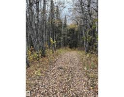 Nw 18-49-5 W5m, Rural Brazeau County, AB T0C1W0 Photo 8