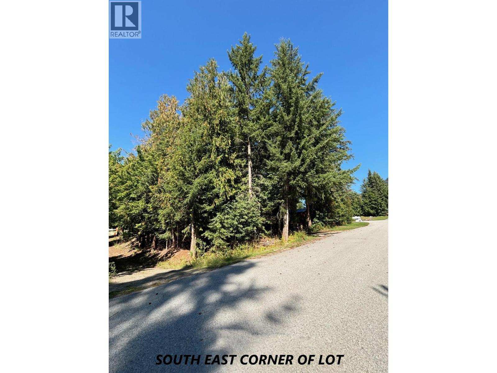 PARCEL C COLUMBIA Street - Photo 3 of 18, New Denver, British Columbia