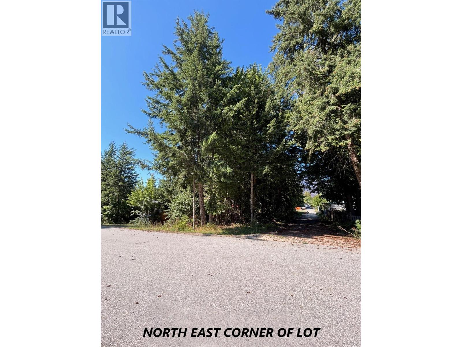 PARCEL C COLUMBIA Street - Photo 4 of 18, New Denver, British Columbia