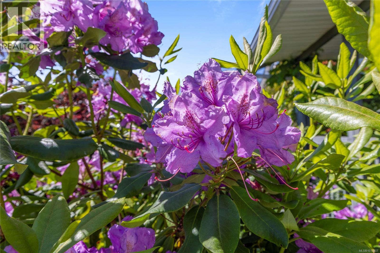 1692 Meadowbrook Dr, Campbell River