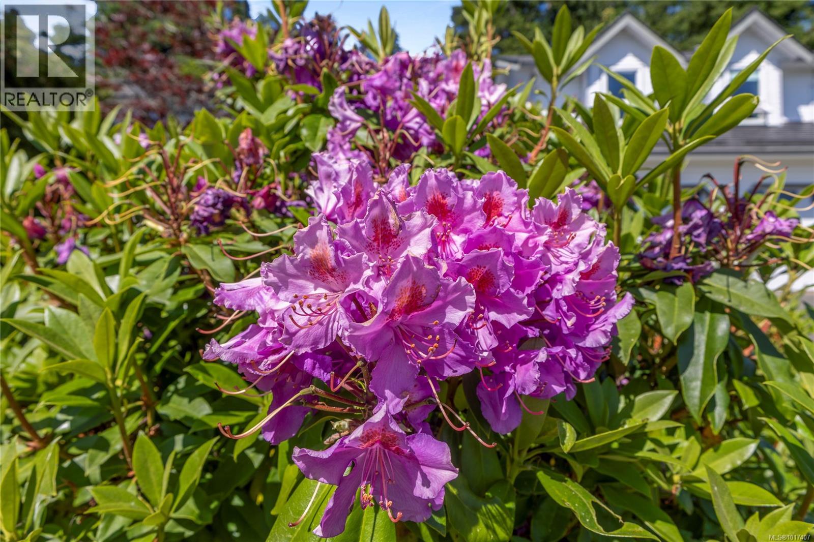 1692 Meadowbrook Dr, Campbell River