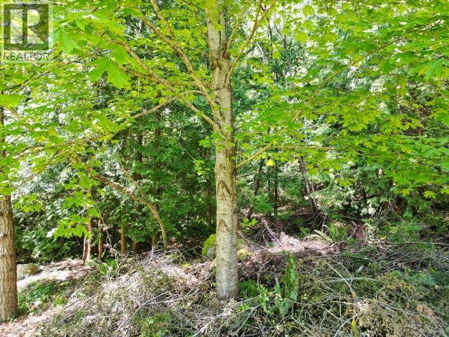 6237 LUND, Powell River