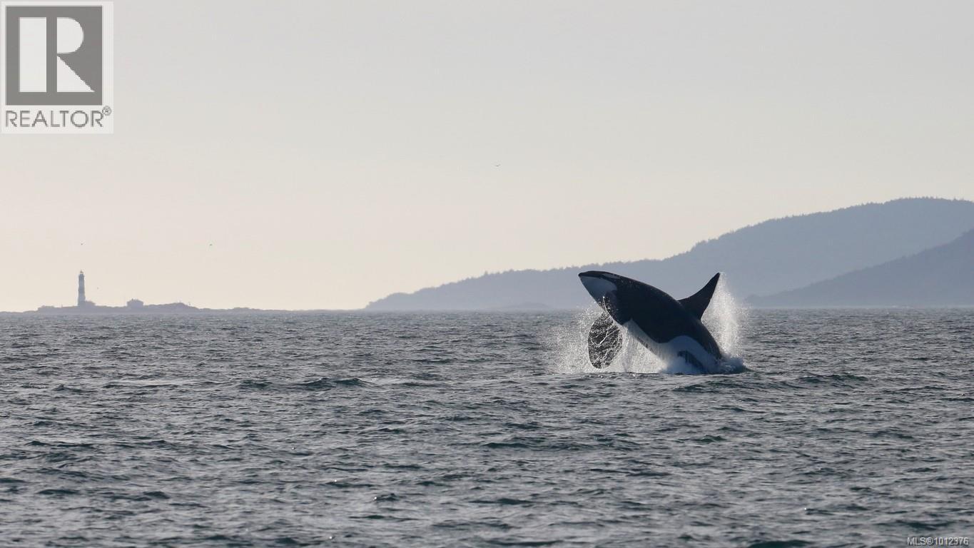  2372 DeMamiel Drive, Sooke