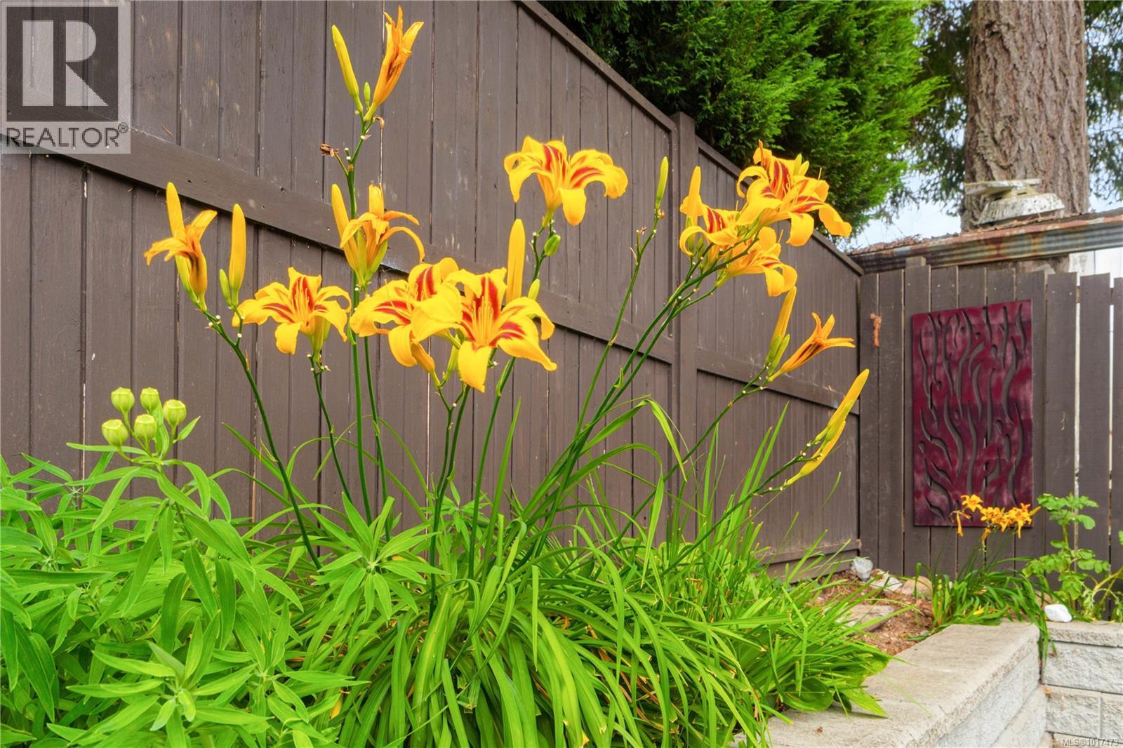 2586 Theresa Terr, Nanaimo