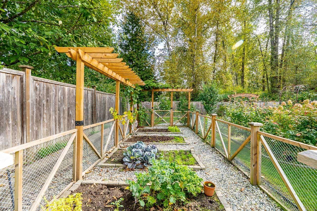 11328 161 STREET, Surrey