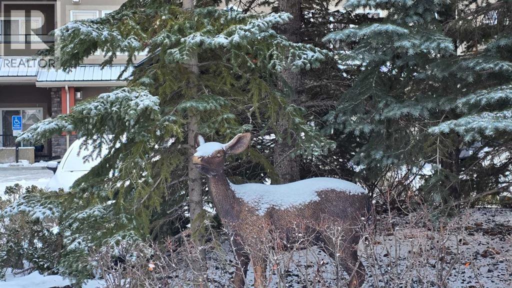 Single Family House for Sale in   Discovery Ridge Close SW Discovery Ridge Calgary 
