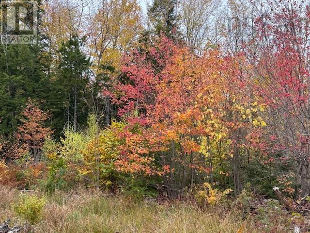 Property 11 of 13 of 1507 Beech Hill Road