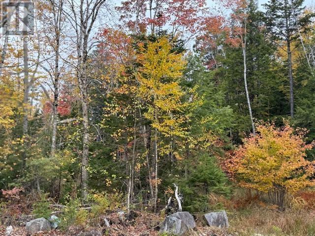 Property 12 of 13 of 1507 Beech Hill Road