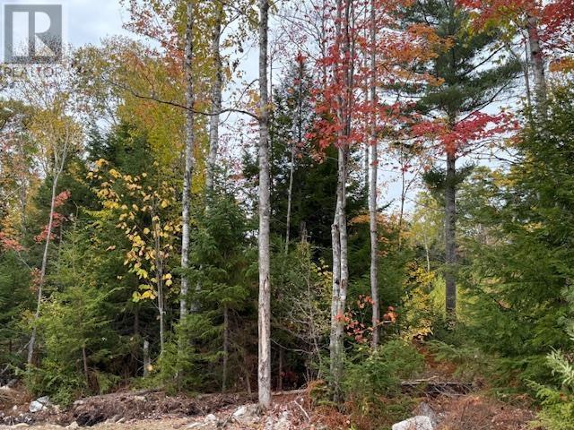 Property 13 of 13 of 1507 Beech Hill Road