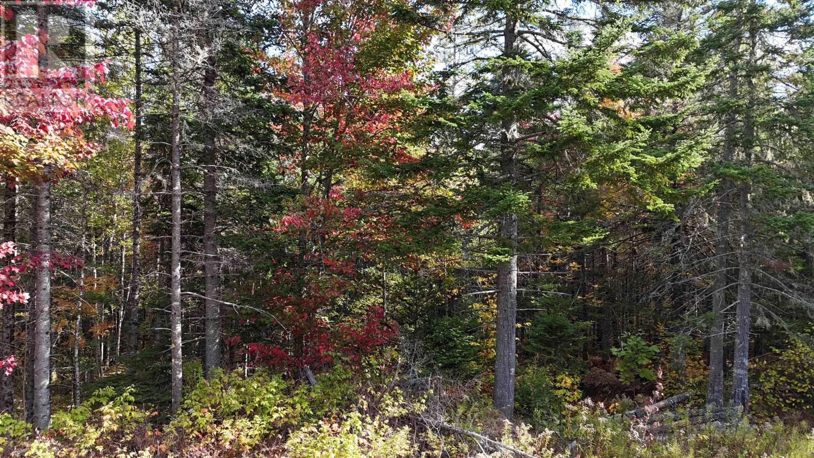 Property photo of Lot Chesley Road