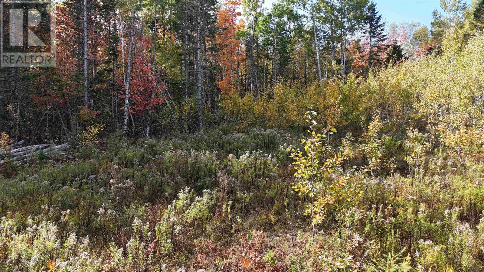 Property 10 of 20 of Lot Chesley Road