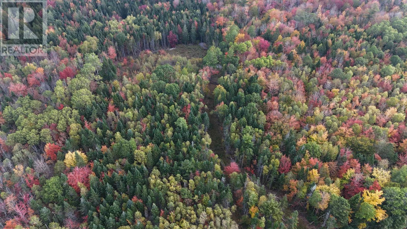 Property 2 of 20 of Lot Chesley Road