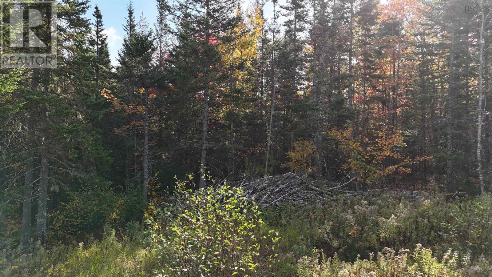 Property 11 of 20 of Lot Chesley Road