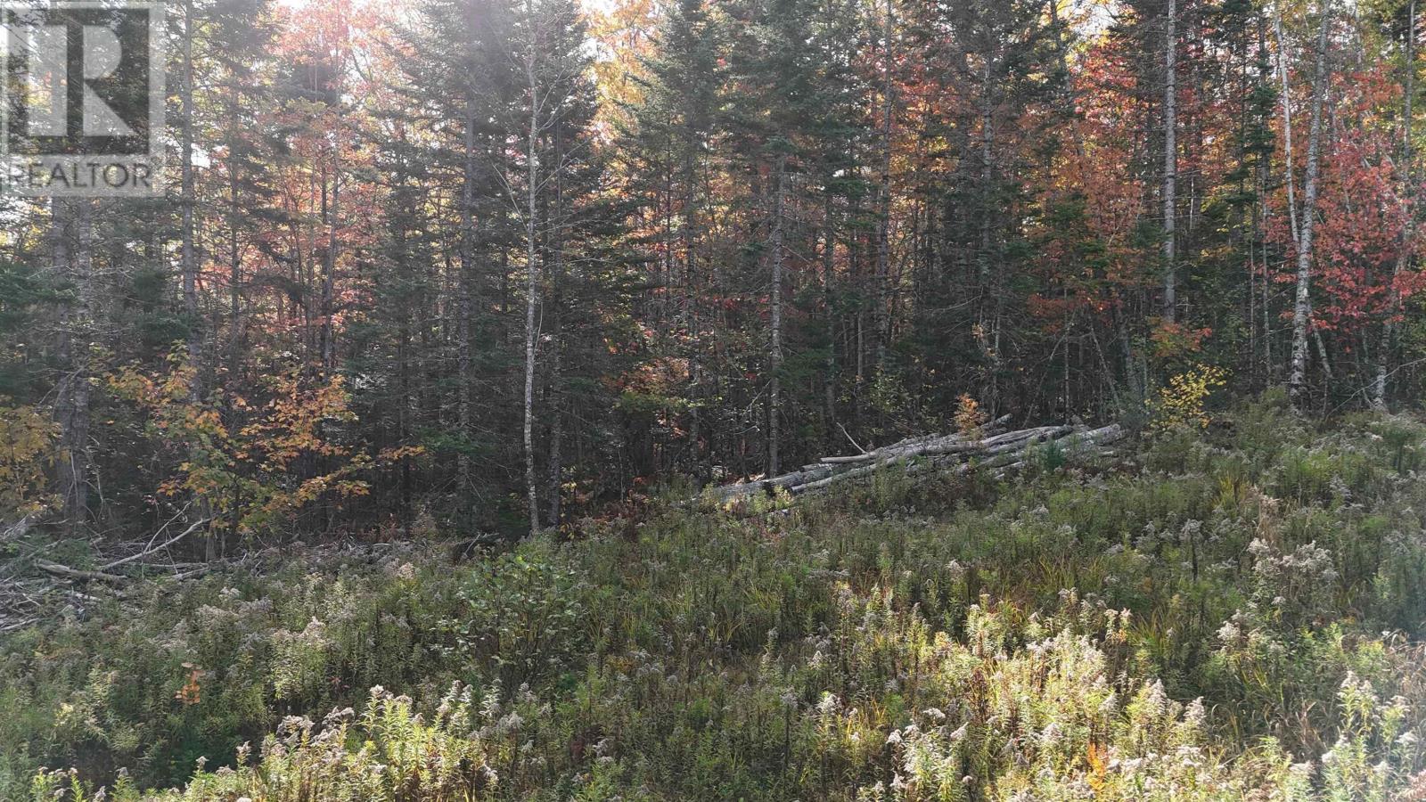 Property 8 of 20 of Lot Chesley Road