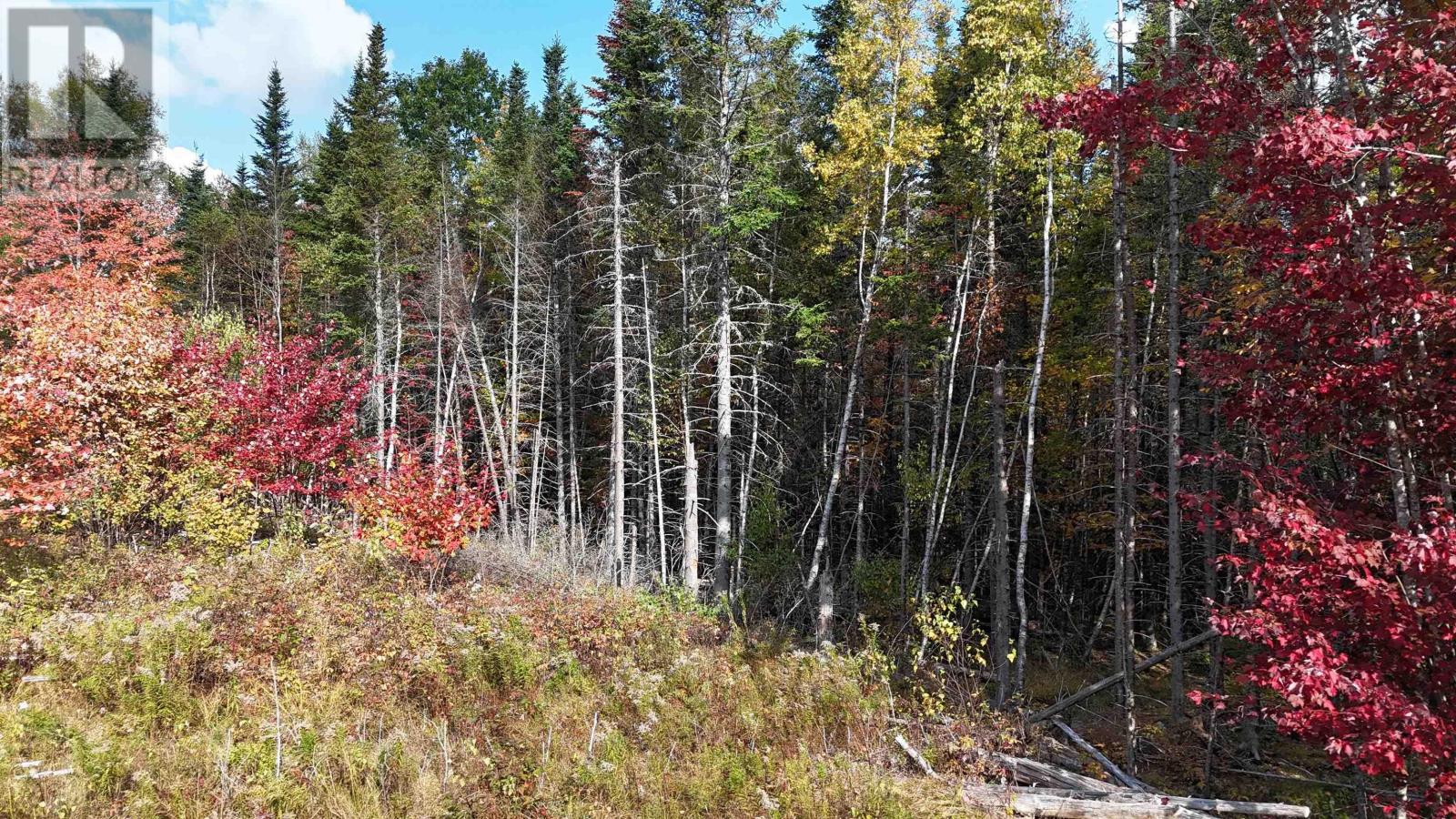 Property 6 of 20 of Lot Chesley Road